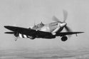 Another image of Beer Spitfire Mk IX
