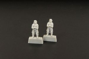 Japanese pilot WWII -(two pieces)
